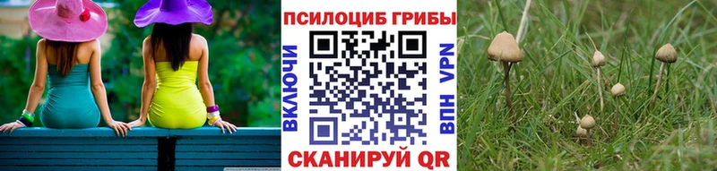 Псилоцибиновые грибы Magic Shrooms  дарнет шоп  Приволжский 